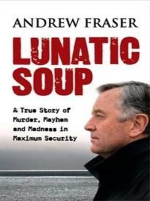 cover image of Lunatic Soup